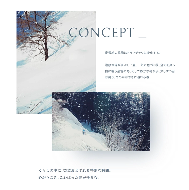 snowdays,雪の日舎,Webサイト100選