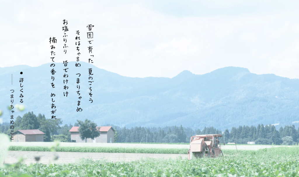 tsumari-chamame,webサイト100選