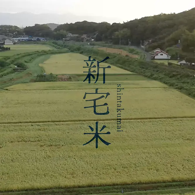 No.095 「SHINTAKUMAI｜新宅米」土と光が語る、米づくりの美学